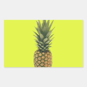 Ananas Rechteckiger Aufkleber