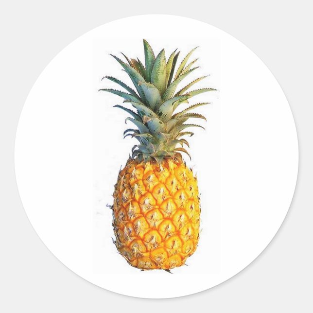 Ananas Runder Aufkleber (Vorderseite)