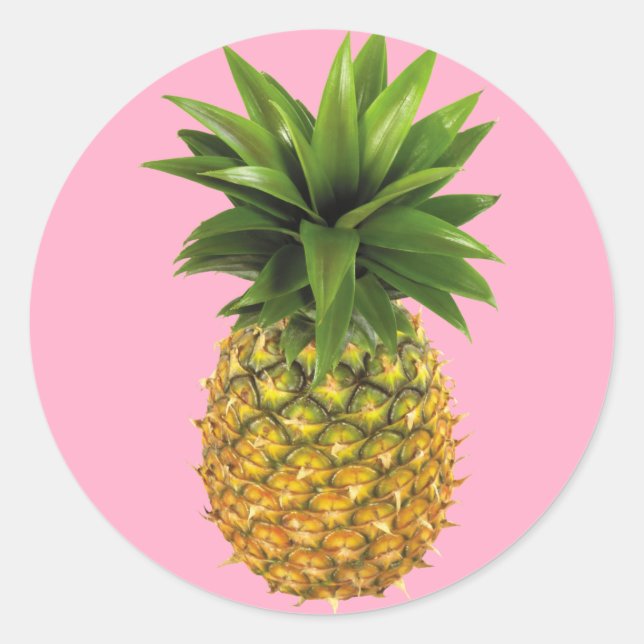 Ananas Runder Aufkleber (Vorderseite)