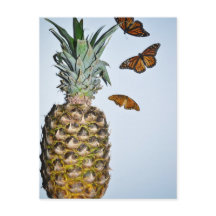 Ananas Spaß