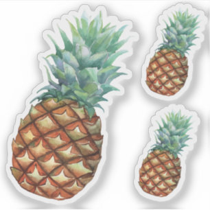 Ananas Tropische Früchte und Wasserfarbe Blatt Aufkleber