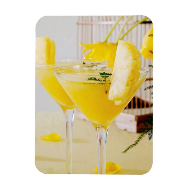Ananas- und Ingwer-Fresca-Cocktail Magnet (Vertikal)