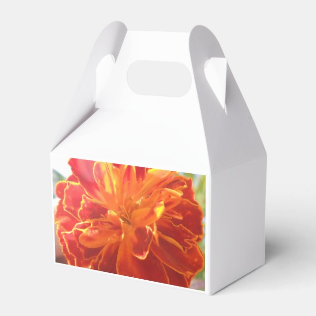 Anastaise Geschenkschachtel (Vorderseite)