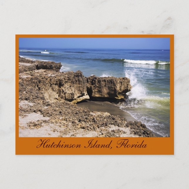 Anastasia Formation, Hutchinson Island, Florida Postkarte (Vorderseite)