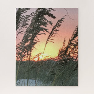 Anastasia Sea Oat Sunset in Florida