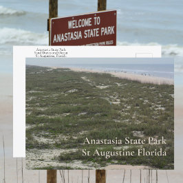 Anastasia State Park St Augustine FL Photographic Postkarte