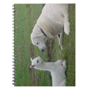 Anatolian Shepherd and Alpaca Cria Notizblock