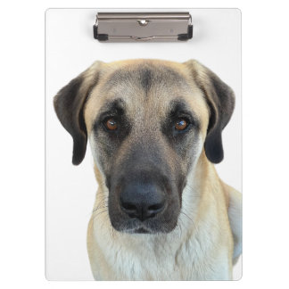 Anatolian Shepherd Clipboard Klemmbrett