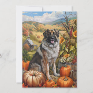 Anatolian Shepherd Dog Herbsternte Erntedank Feiertagskarte