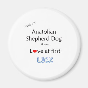 Anatolian Shepherd Dog Lick Design Magnet