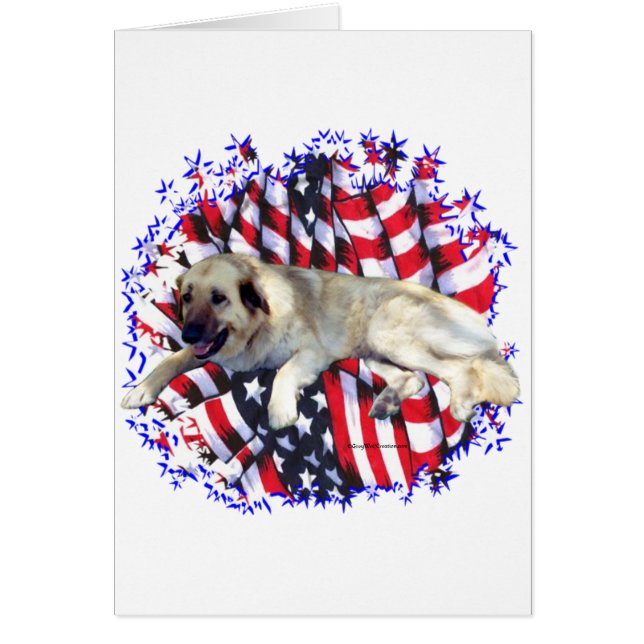 Anatolian Shepherd Dog Patriot (Vorne)