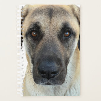 Anatolian Shepherd Dog Planner Planer