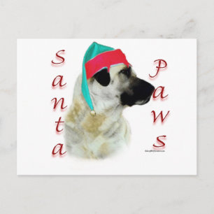Anatolian Shepherd Dog Santa Paws Feiertagspostkarte