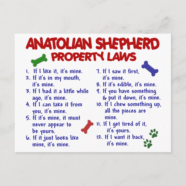 ANATOLIAN SHEPHERD Property Laws 2 Postkarte (Vorderseite)