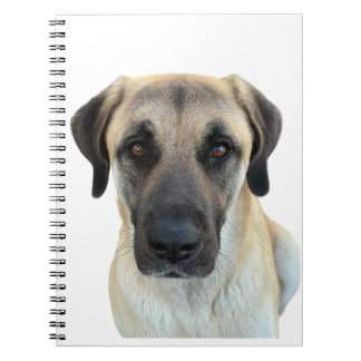 Anatolian Shepherd Spiral Notebook Planner Notizblock