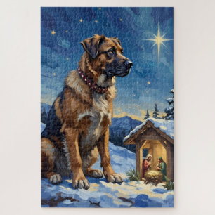 Anatolianscher Hirtenhund bewacht Weihnachtskrippe