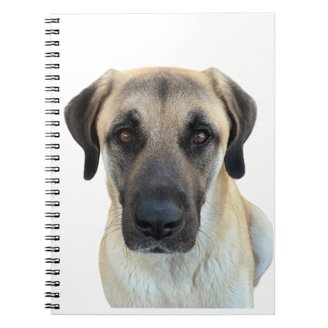 Anatolien Berger Carnet Spiral Planificateur (Devant)