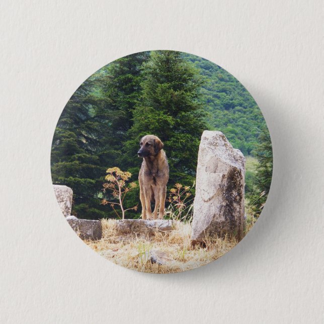 Anatolischer Schäfer-Hund - Ephesus, die Türkei Button (Vorderseite)