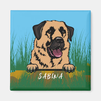 Anatolischer Schäferhund in der Natur Magnet