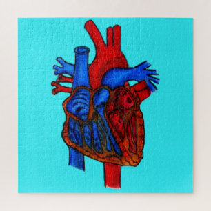 Anatomical Heart Puzzle