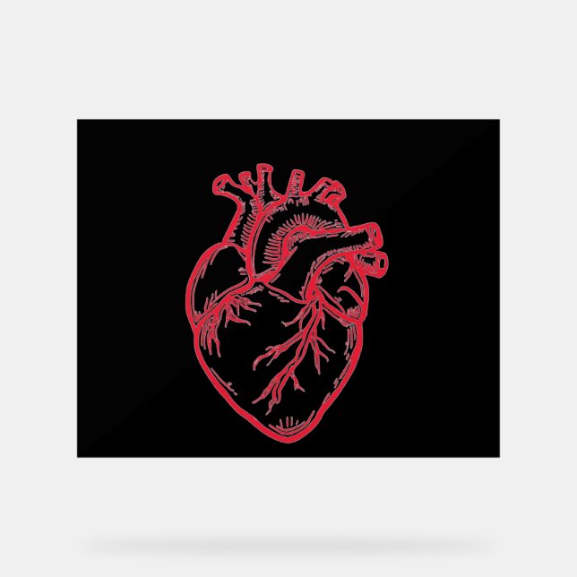 Anatomical Heart Valentine Shirt Acrylschild (Vorderseite)