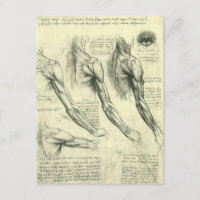 Anatomie Arm und Schulter von Leonardo da Vinci