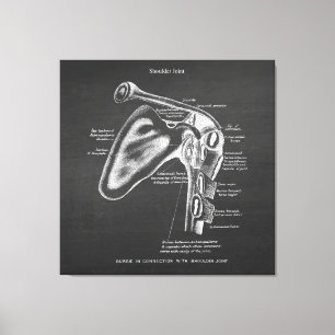 Anatomie Art Nr. 1 Schultergelenk Leinwanddruck
