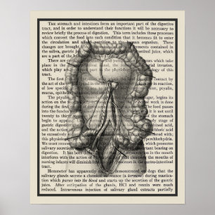 Anatomie-Art-Print #8 Medizinische Dekoration