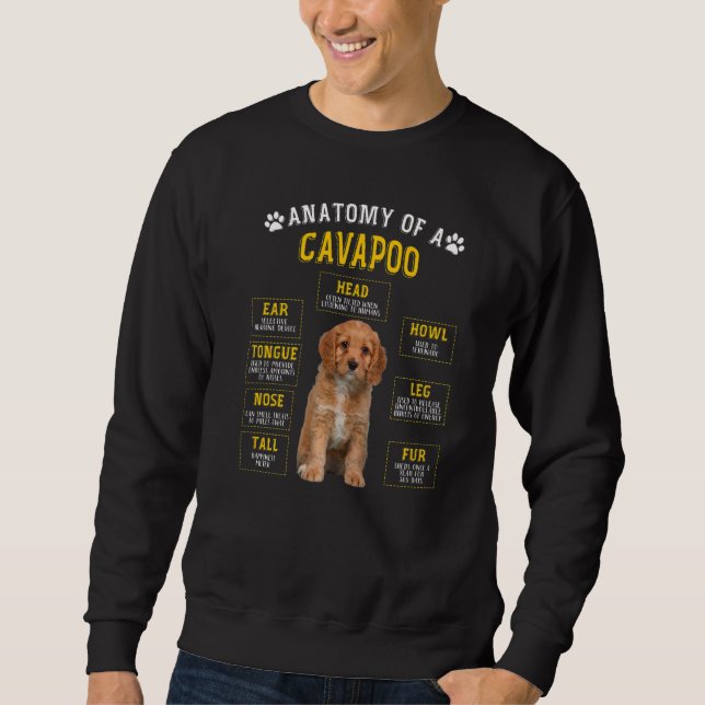 Anatomie Cavapoo für Frauen Männer Sweatshirt (Vorderseite)