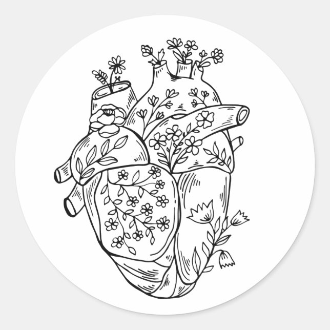 Anatomie coeur autocollant (Devant)