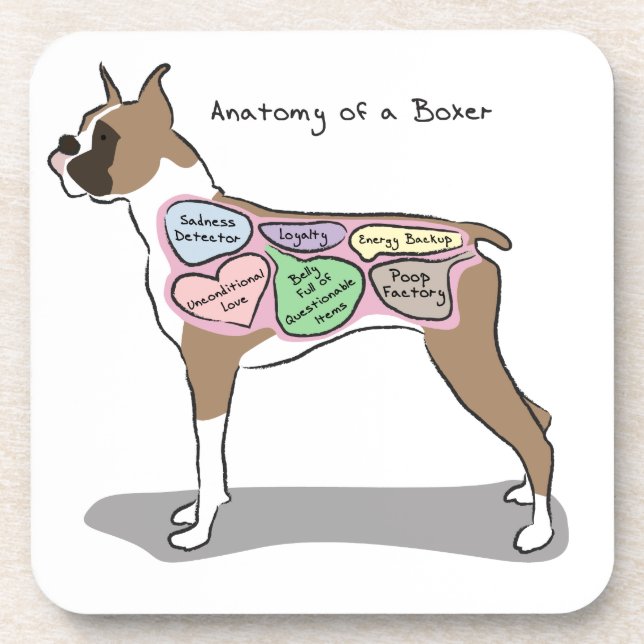 Anatomie der Boxer-Hundegeschenke Untersetzer (Vorderseite)