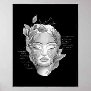 Anatomie der Gesichtshaut Fett Pad Beautician Deko