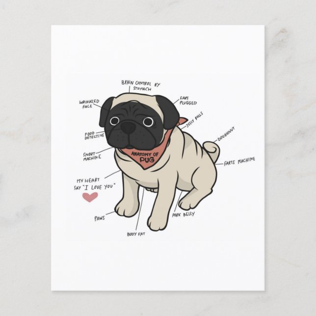 Anatomie der Hundekarte des Mops Flyer (Vorne)