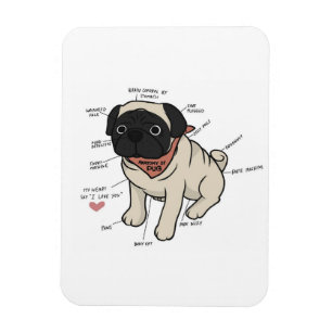 Anatomie der Hundekarte des Mops Magnet