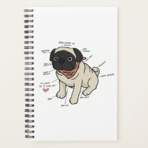 Anatomie der Hundekarte des Mops Planer