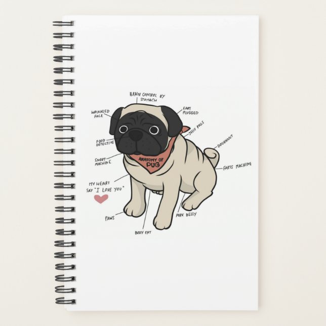 Anatomie der Hundekarte des Mops Planer (Vorderseite)