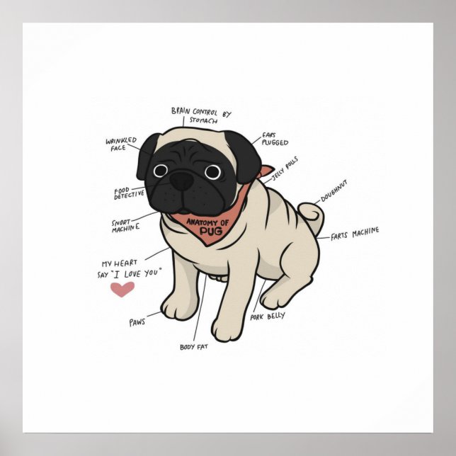 Anatomie der Hundekarte des Mops Poster (Vorne)