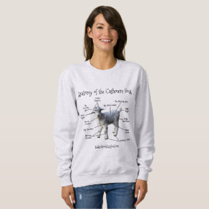 Anatomie der Kaschmir-Ziege - das Sweatshirt der