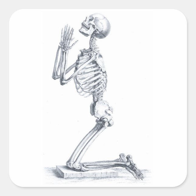 Anatomie der Knochen Aufkleber (Vorderseite)
