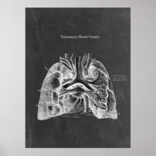 Anatomie der Lungen mit Halkboard-Ästhetik Poster