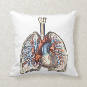 Anatomie der Medizin Anatomische Lunge Kissen