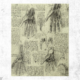 Anatomie der menschlichen Hand durch Leonardo da V