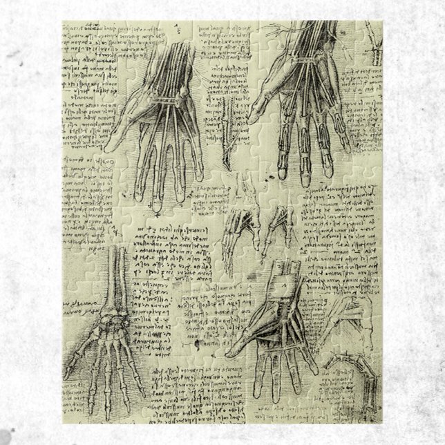 Anatomie der menschlichen Hand durch Leonardo da V (Von Creator hochgeladen)