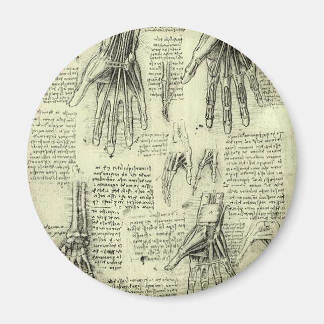 Anatomie der menschlichen Hand durch Leonardo da V Magnet (Vorne)