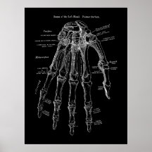 Anatomie der menschlichen Hand