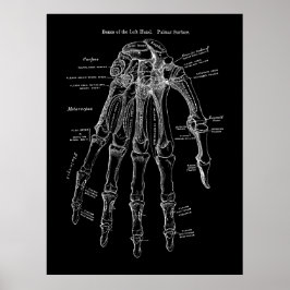 Anatomie der menschlichen Hand Poster
