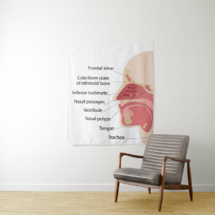 Anatomie der menschlichen Nase Wandteppich