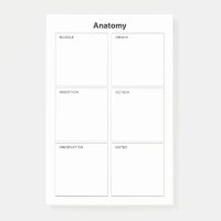 Anatomie der Muskeln Medical Nursing Student