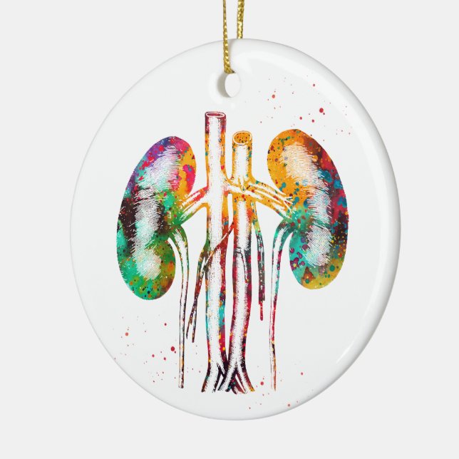 Anatomie der Nieren Keramik Ornament (Links)