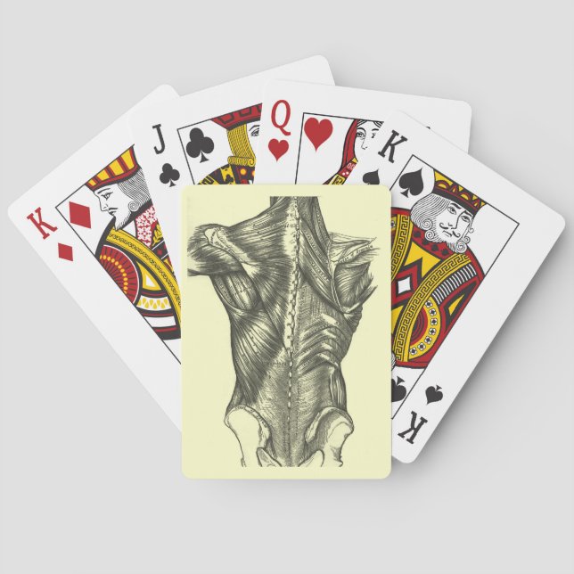 Anatomie der Vintagen Rückseite Spielkarten (Rückseite)